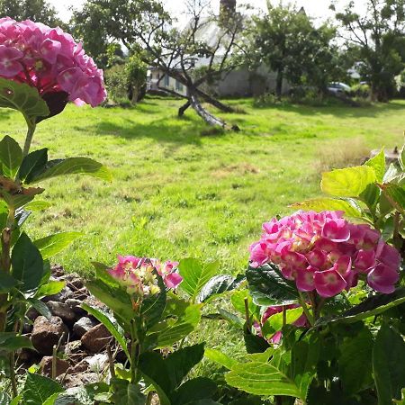 Terre De Reveries Maisoncelles-la-Jourdan Esterno foto