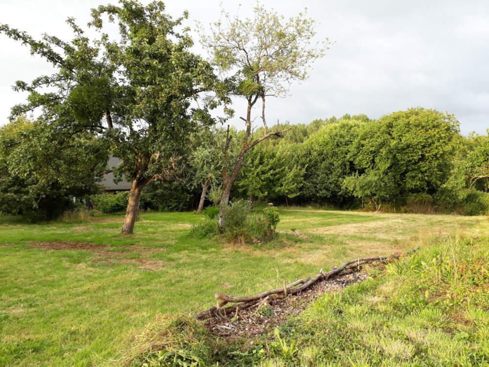 Terre De Reveries Maisoncelles-la-Jourdan Esterno foto