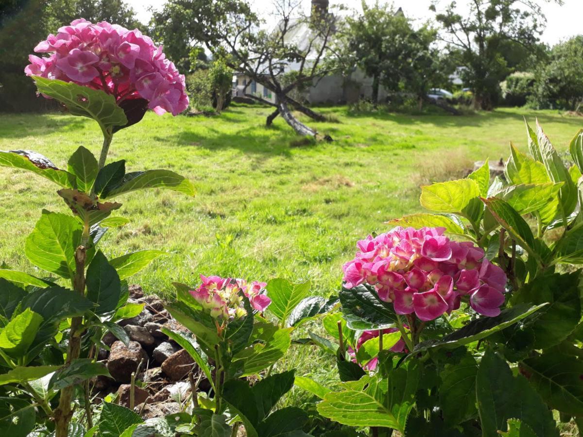 Terre De Reveries Maisoncelles-la-Jourdan Esterno foto